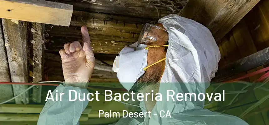  Air Duct Bacteria Removal Palm Desert - CA
