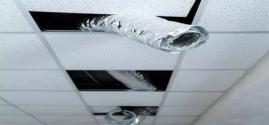 Affordable HVAC Sanitizing After Pest Removal in Palm Desert