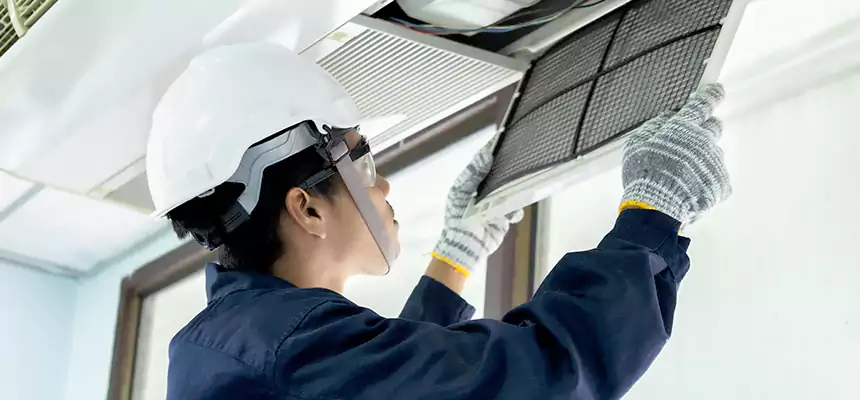 Our Mold & Mildew Removal from Air Ducts Services in Palm Desert, CA