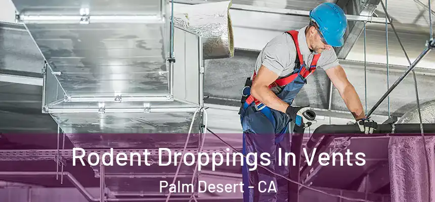  Rodent Droppings In Vents Palm Desert - CA