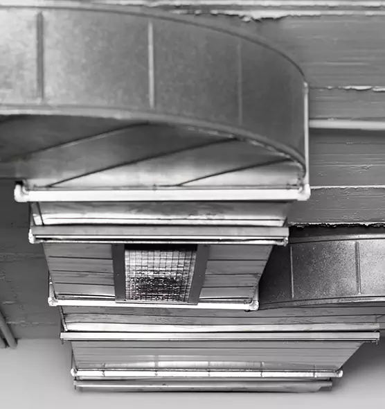 Professional Air Duct Pet Hair Removal in Palm Desert, CA