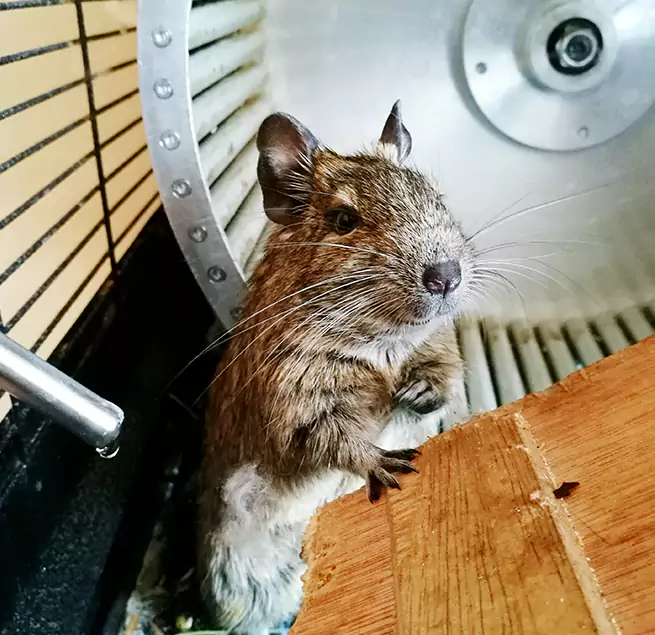 Why Homeowners & Businesses Trust Us Palm Desert, CA?