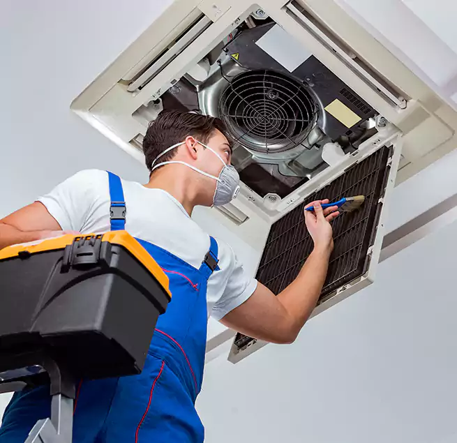 Why Homeowners & Businesses Trust Us in Palm Desert, CA