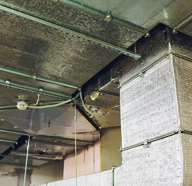 Why Homeowners & Businesses Trust Us in Palm Desert, CA?